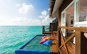 Sun Siyam Vilu Reef - 24-hour All-inclusive With Free Transfers Meedhoo (dhaalu Atoll)